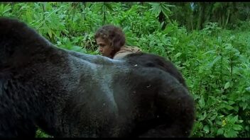 Gorilla Sex Movie