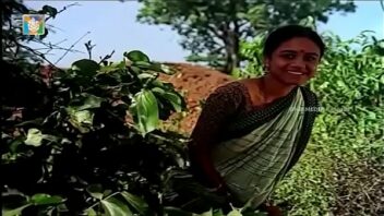 Kannada Blue Film Video