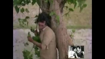 Sridevi Wallpaper Video