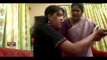 Telugu Saree Sex Videos